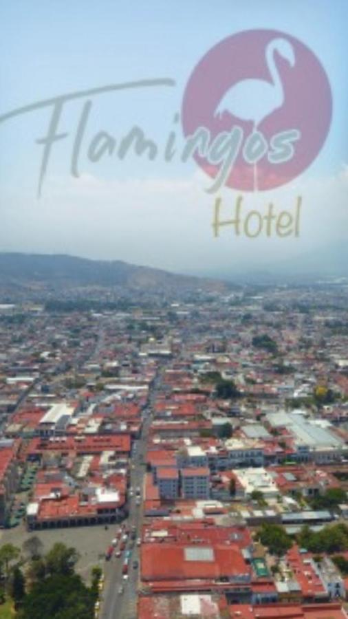 Hotel Flamingos De Ciudad Guzman Exterior foto